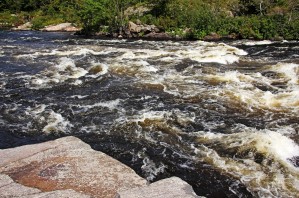 Turbulent Dalles Rapids
